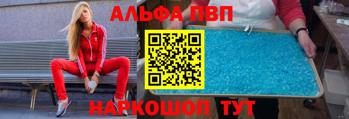 Альфа ПВП СК КРИС Сунжа