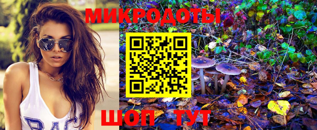 Сунжа  Галлюциногенные грибы прущие грибы  Галлюциногенные грибы Cubensis  Вход с VPN 